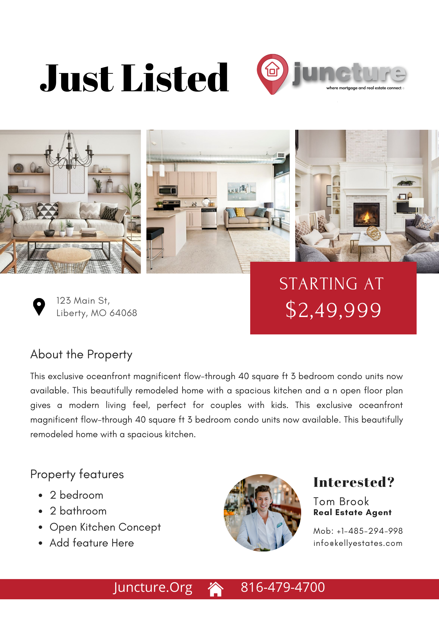 Listing Flyer Templates (Set of 12 Different Designs) - Image 4