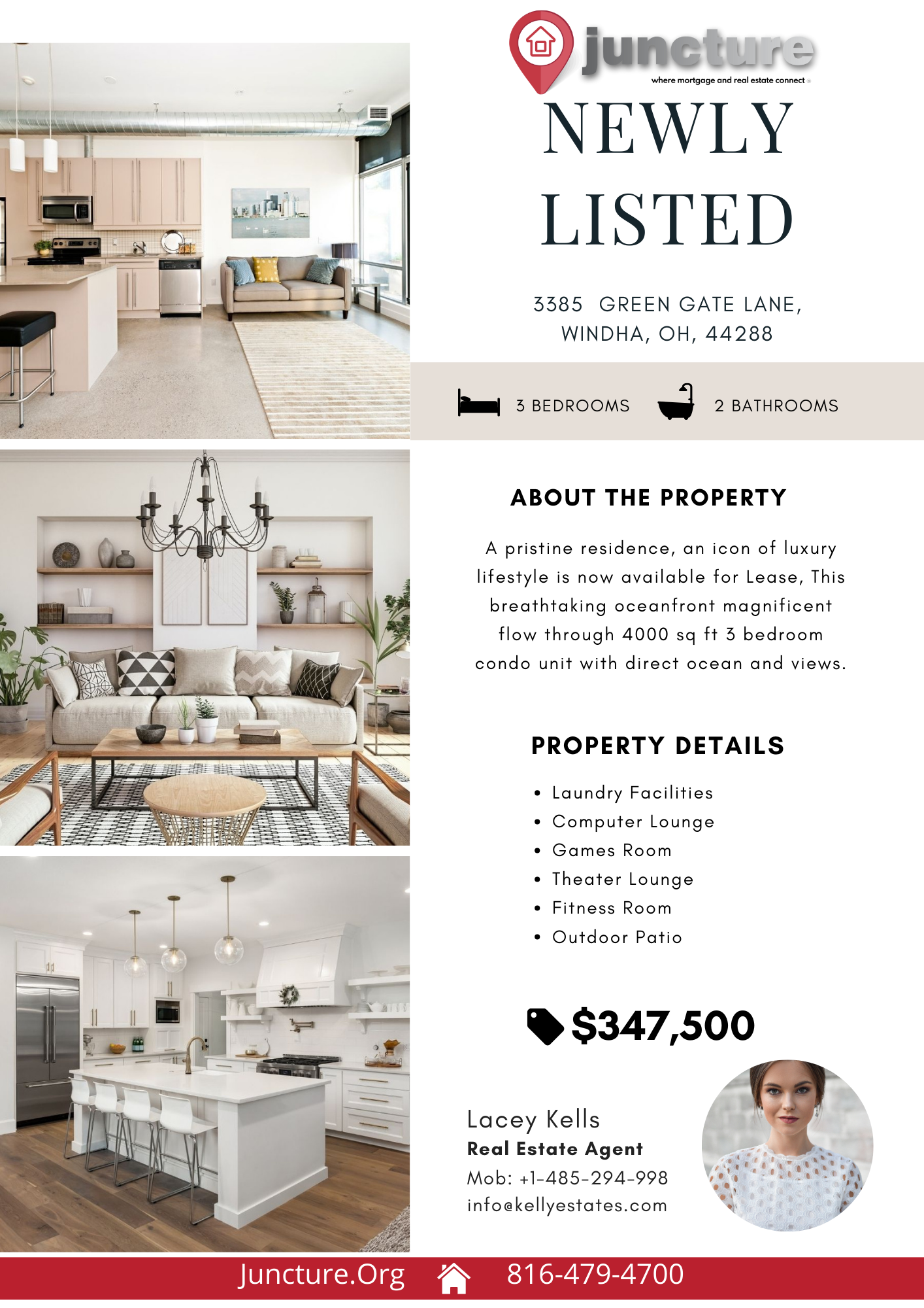 Listing Flyer Templates (Set of 12 Different Designs) - Image 8