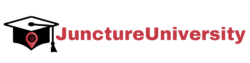 Juncture University