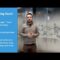 The Inside Loop | Ep. 37 | The NEW My Loops Experience